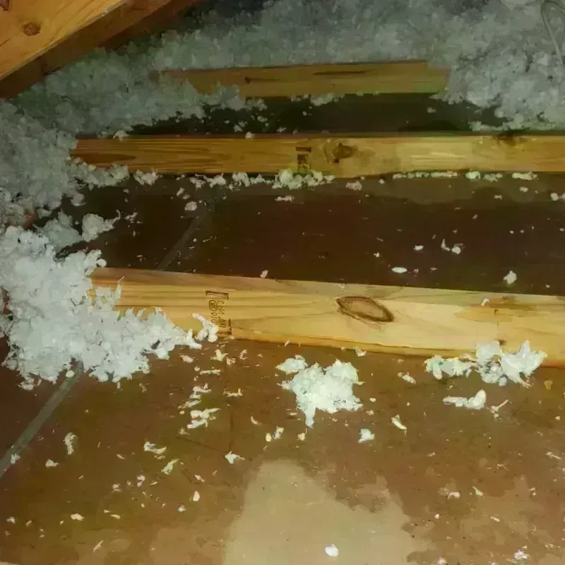 Attic Water Damage in Glendale, MS